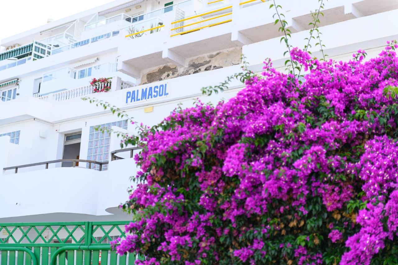 Palmasol Apartamentos بورتو ريكو المظهر الخارجي الصورة